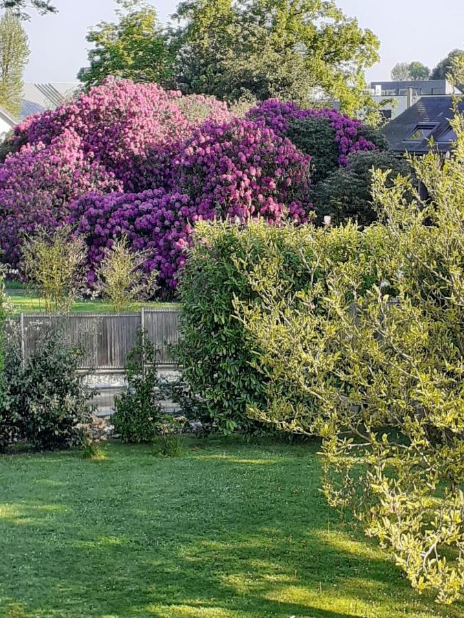 Manoir De L'As De Trefle Bed and Breakfast Isneauville Εξωτερικό φωτογραφία